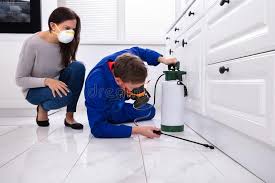 Best Commercial Pest Control  in Higginsville, MO